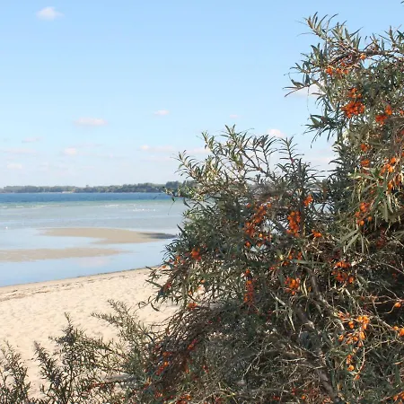 Idyllische An Der Ostseekueste Stellshagen