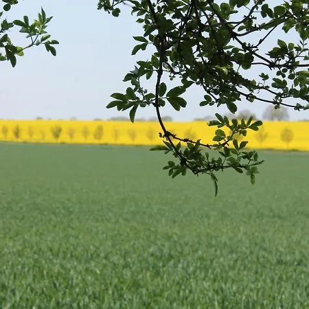 Idyllische An Der Ostseekueste דירה Stellshagen