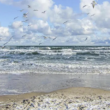 Idyllische An Der Ostseekueste *