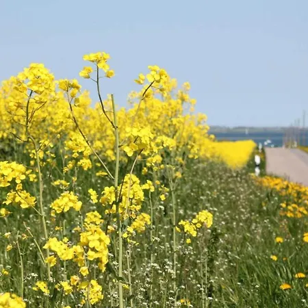 Idyllische An Der Ostseekueste דירה Stellshagen