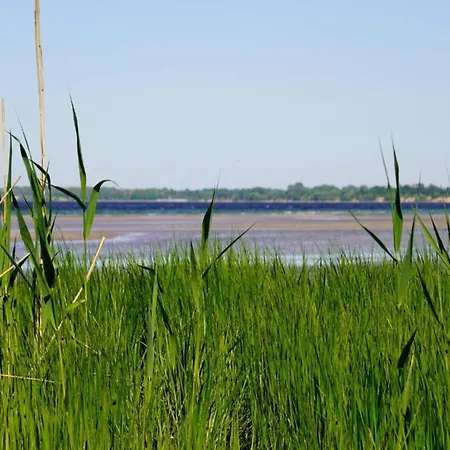 Idyllische An Der Ostseekueste *