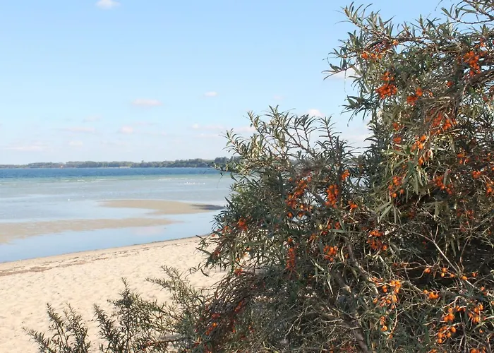 Idyllische An Der Ostseekueste Stellshagen