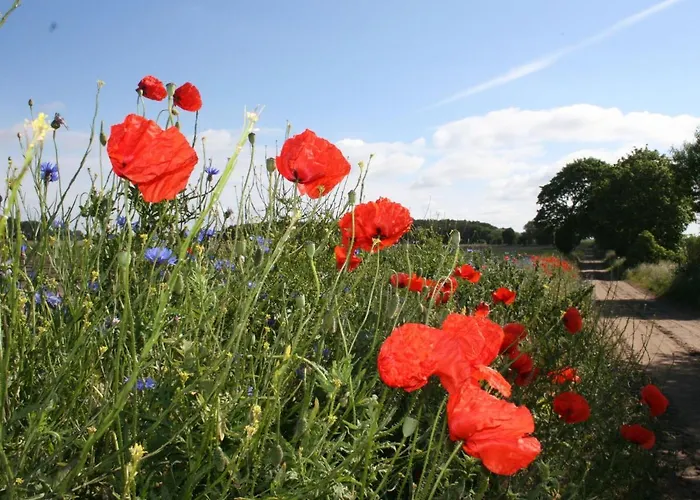Idyllische An Der Ostseekueste * Stellshagen