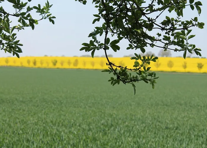 Idyllische An Der Ostseekueste Apartament Stellshagen