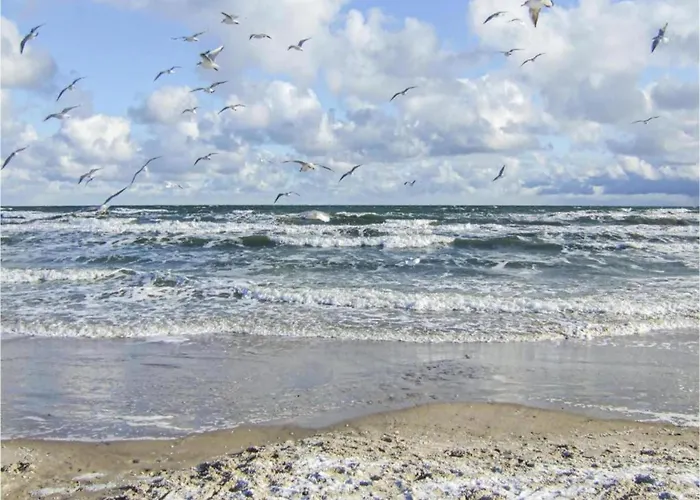 Idyllische An Der Ostseekueste *
