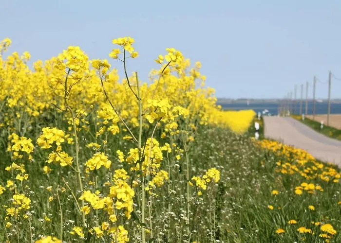 Idyllische An Der Ostseekueste Apartament Stellshagen